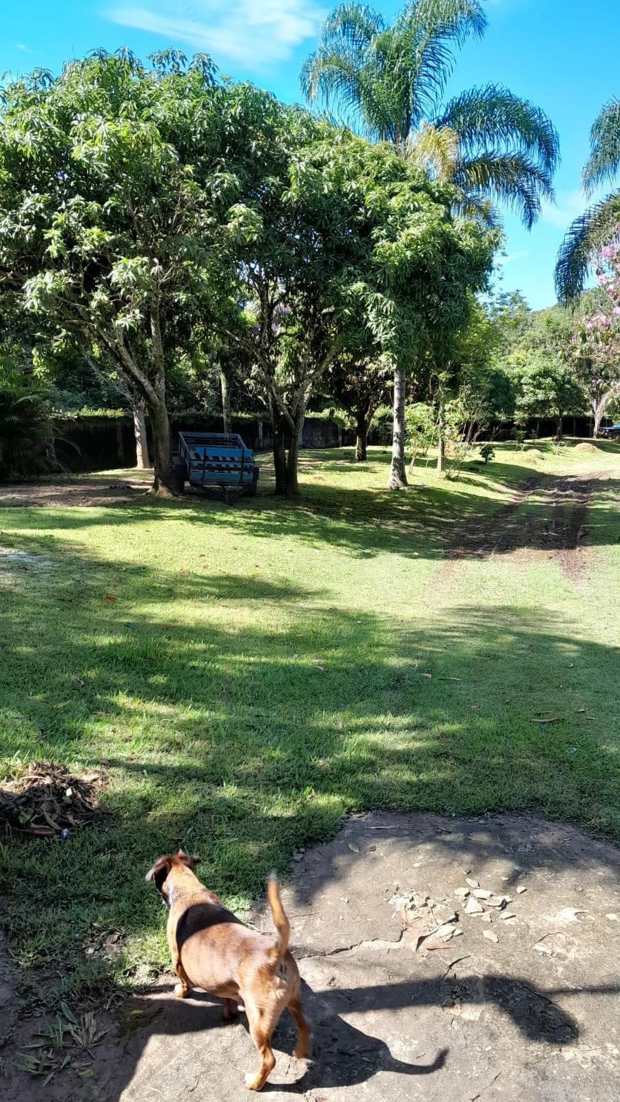 Casa em Condomínio venda Loteamento Rancho Maringá II - Referência 255