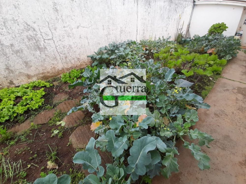 Chácara à venda Centro - 999-165405-3.jpg