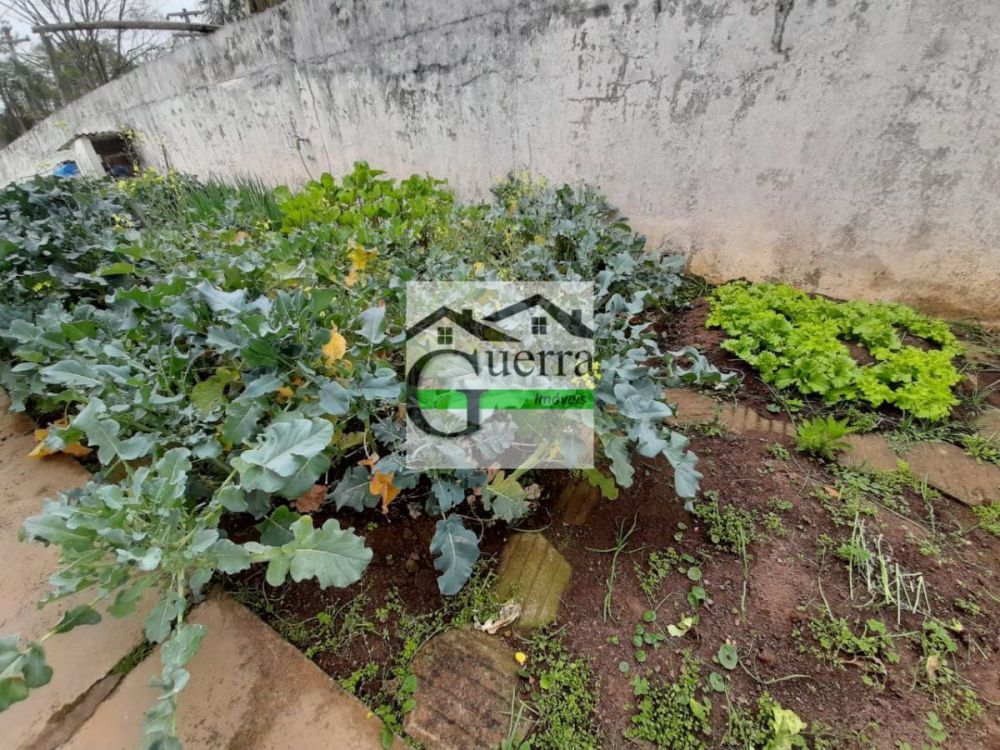 Chácara à venda Centro - 999-165405-4.jpg