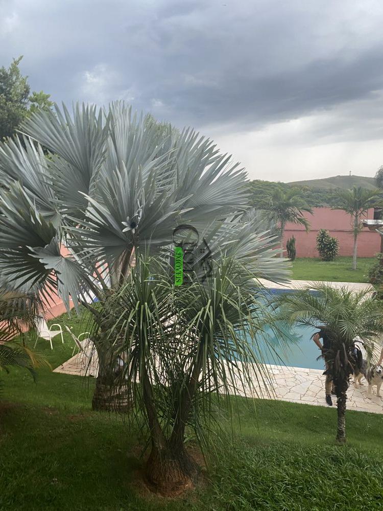 Casa em Condomínio à venda na Rua CerejeiraSanta Inês - r223742-0.jpeg