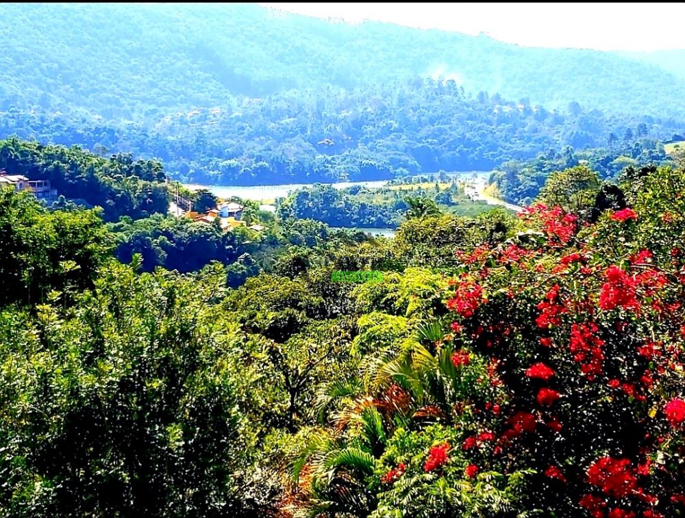 Terreno à venda na Rua Apóstolo PauloRio abaixo - 214236-9.jpg