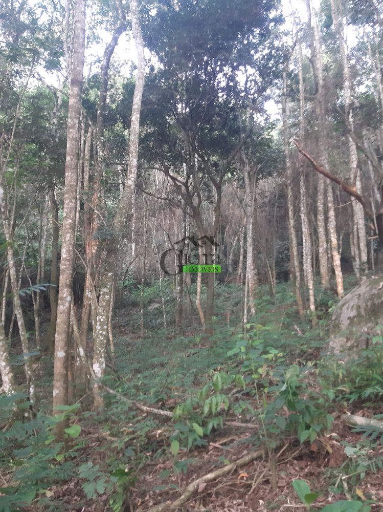 Terreno em Condomínio venda Boa Vista - Referência 459