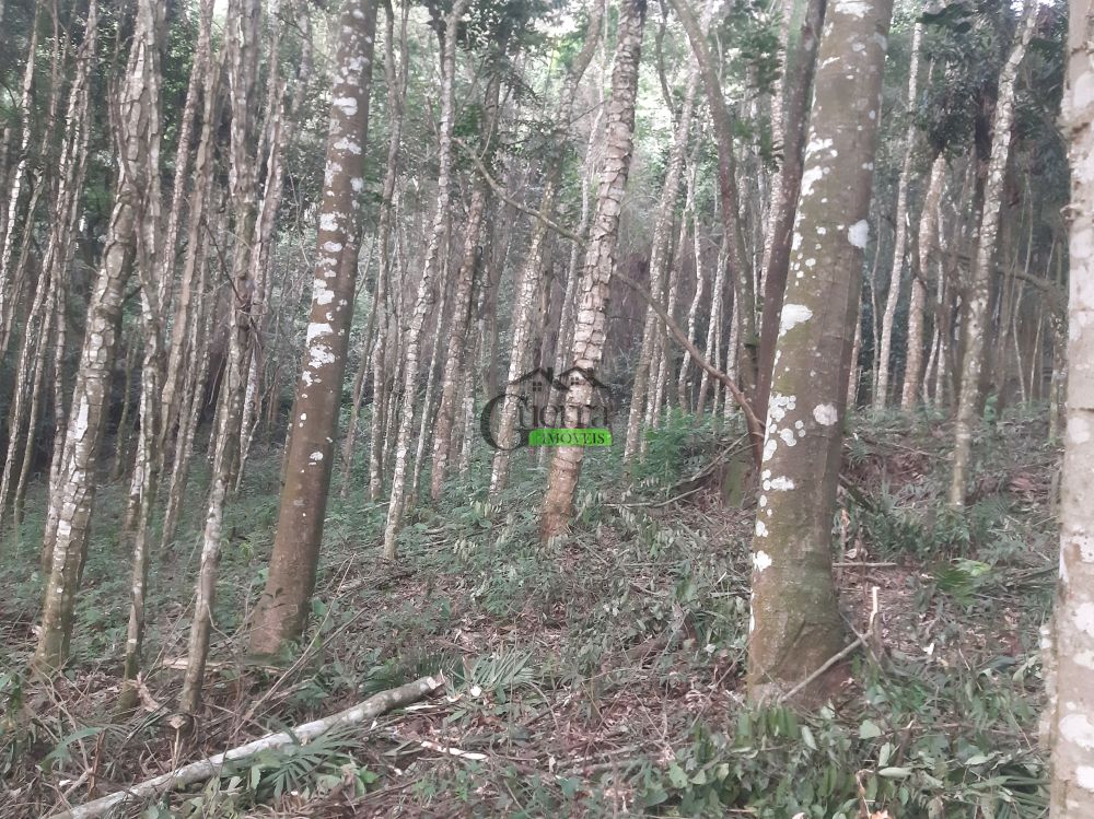 Terreno em Condomínio à venda na Estrada Abílio Barbosa do PradoBoa Vista - 183801-1.jpg