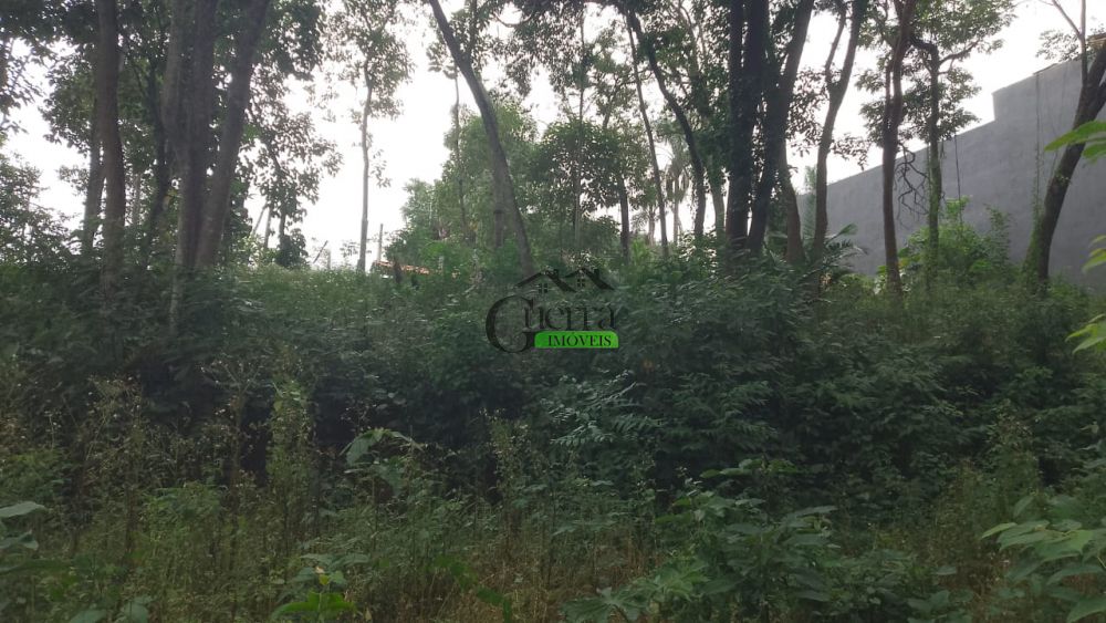 Terreno à venda na Rua Um - Rec N LagoRancho Grande - 121701-9.jpg