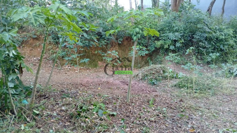 Terreno à venda na Rua Um - Rec N LagoRancho Grande - 121703-21.jpg