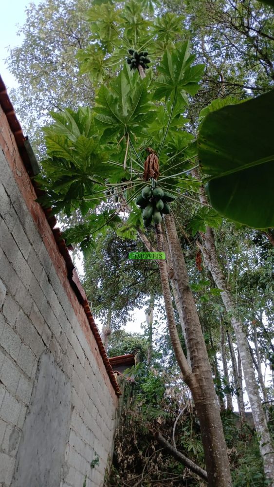 Terreno à venda na Rua Um - Rec N LagoRancho Grande - 121703-22.jpg