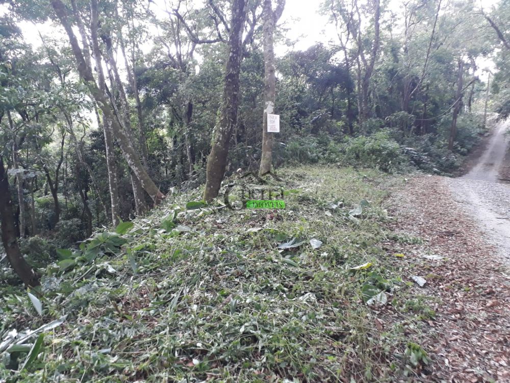 Terreno venda Boa Vista - Referência 474