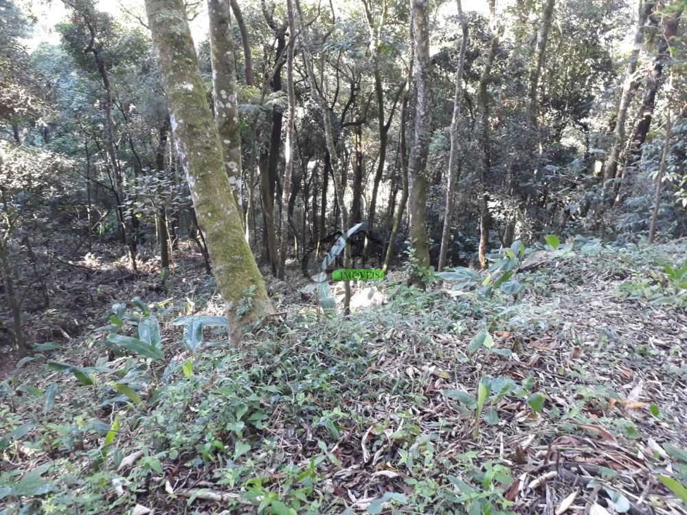 Terreno à venda na Rua Annayr de CamposBoa Vista - 200526-1.jpg