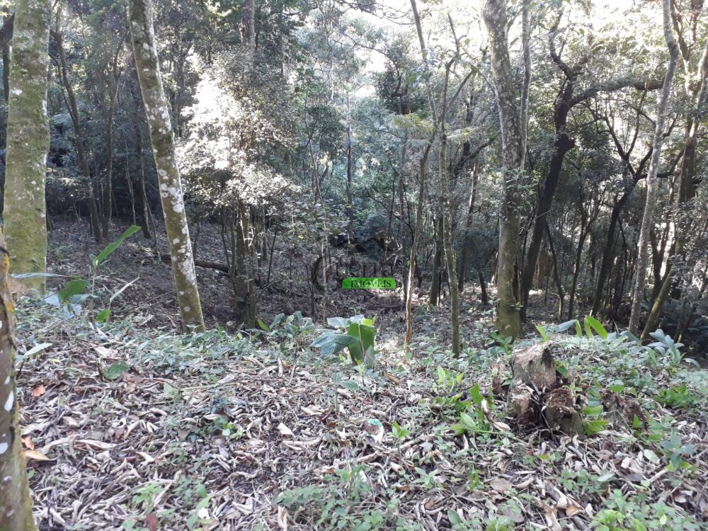 Terreno à venda na Rua Annayr de CamposBoa Vista - 200527-3.jpg