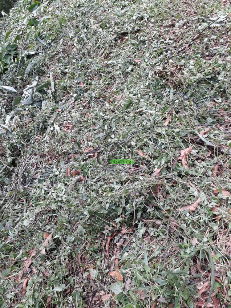 Terreno à venda na Rua Annayr de CamposBoa Vista - 200527-4.jpg