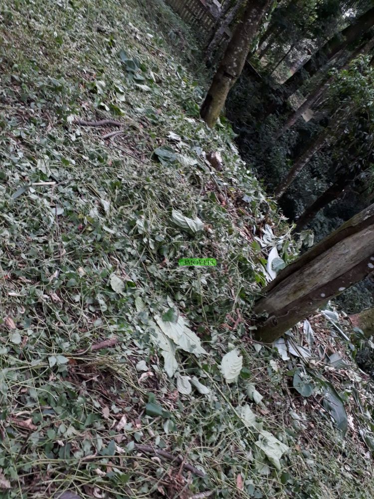 Terreno à venda na Rua Annayr de CamposBoa Vista - 200527-5.jpg