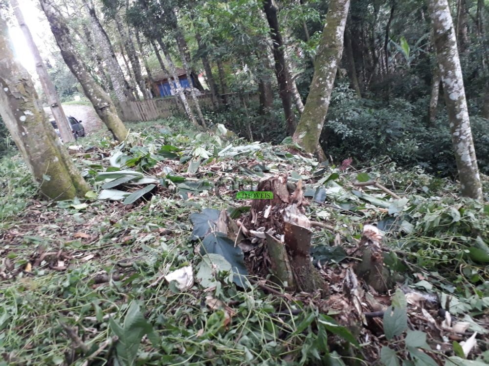 Terreno à venda na Rua Annayr de CamposBoa Vista - 200527-7.jpg