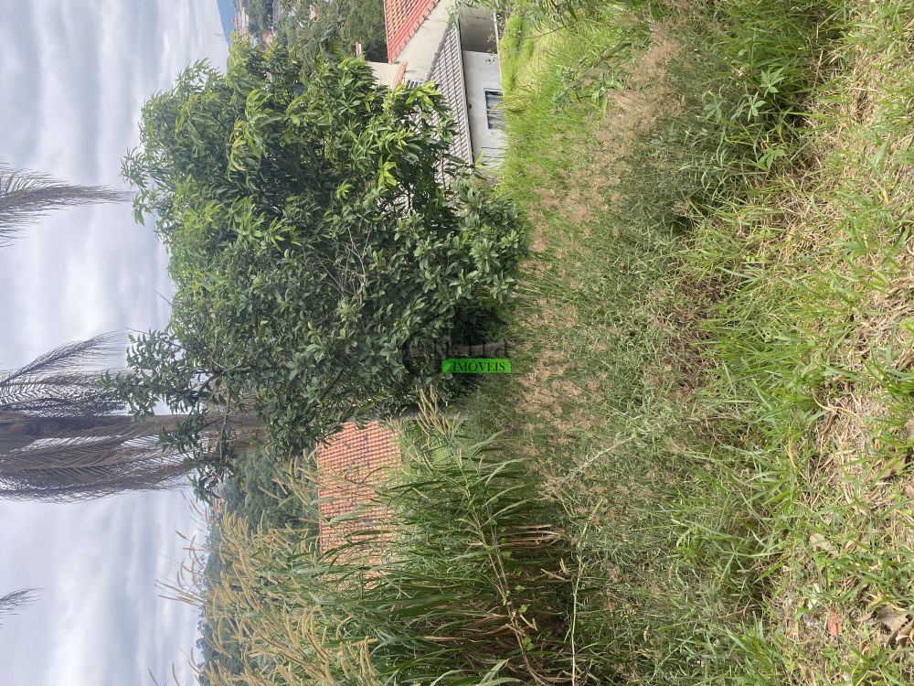 Casa Padrãona Rua Alfredo CarpiBarreiro - 122058-2.jpeg
