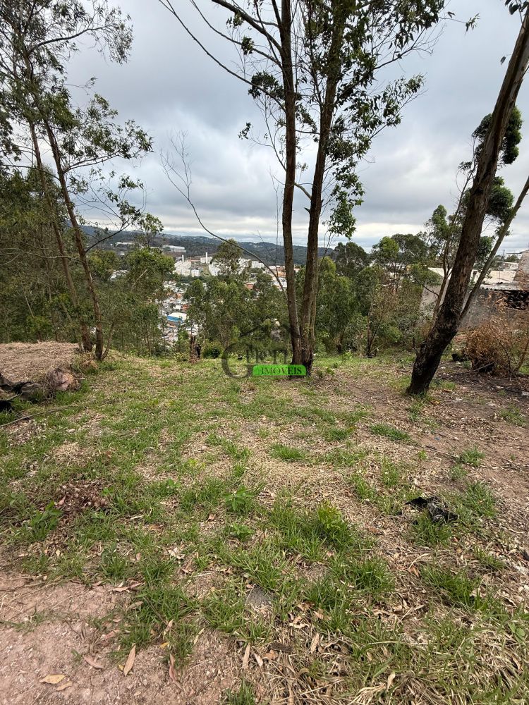 Terreno à venda na Avenida Doutor Sérgio Machado BraunerCanjica (Terra Preta) - 171354-0.jpeg