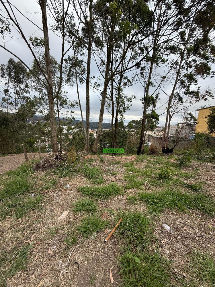 Terreno à venda na Avenida Doutor Sérgio Machado BraunerCanjica (Terra Preta) - 171356-1.jpeg