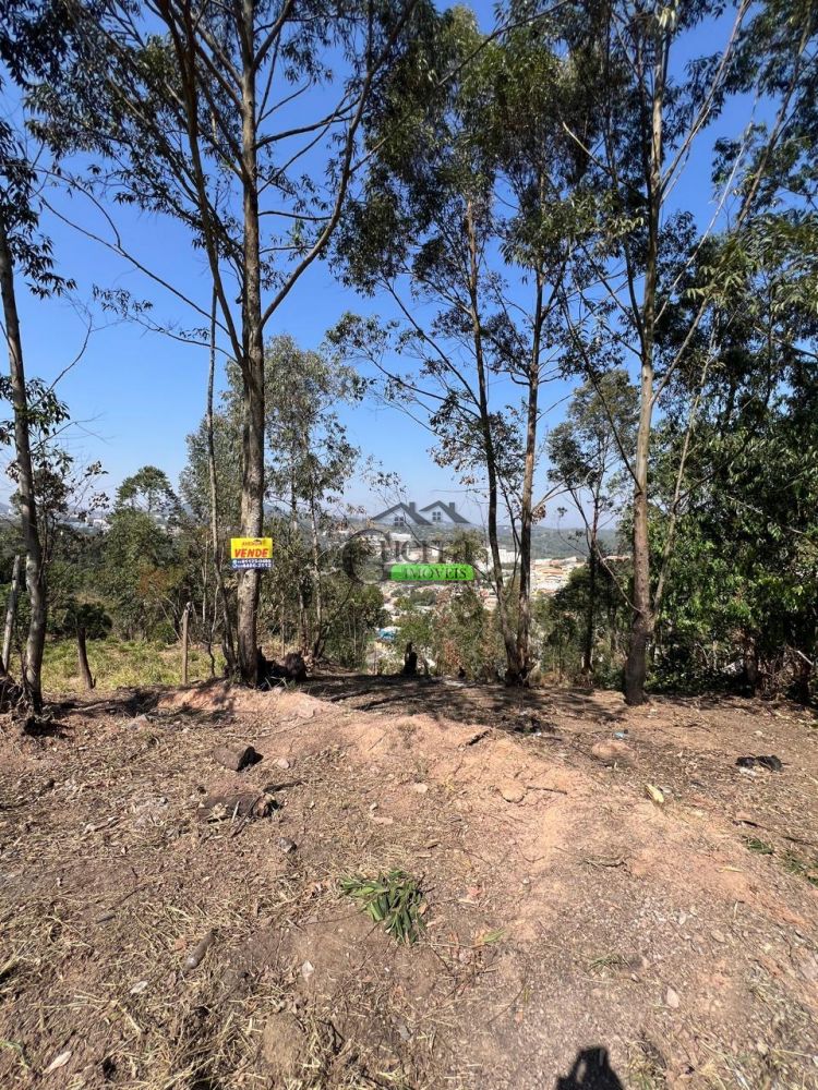 Terreno à venda na Avenida Doutor Sérgio Machado BraunerCanjica (Terra Preta) - 171357-2.jpeg