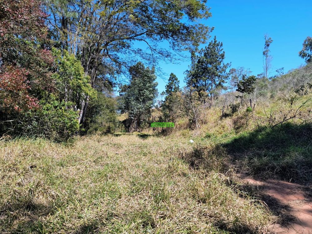 Terreno à venda na Rua Almeida PaesVila dos Pedrosos (Batatuba) - 215300-0.jpg