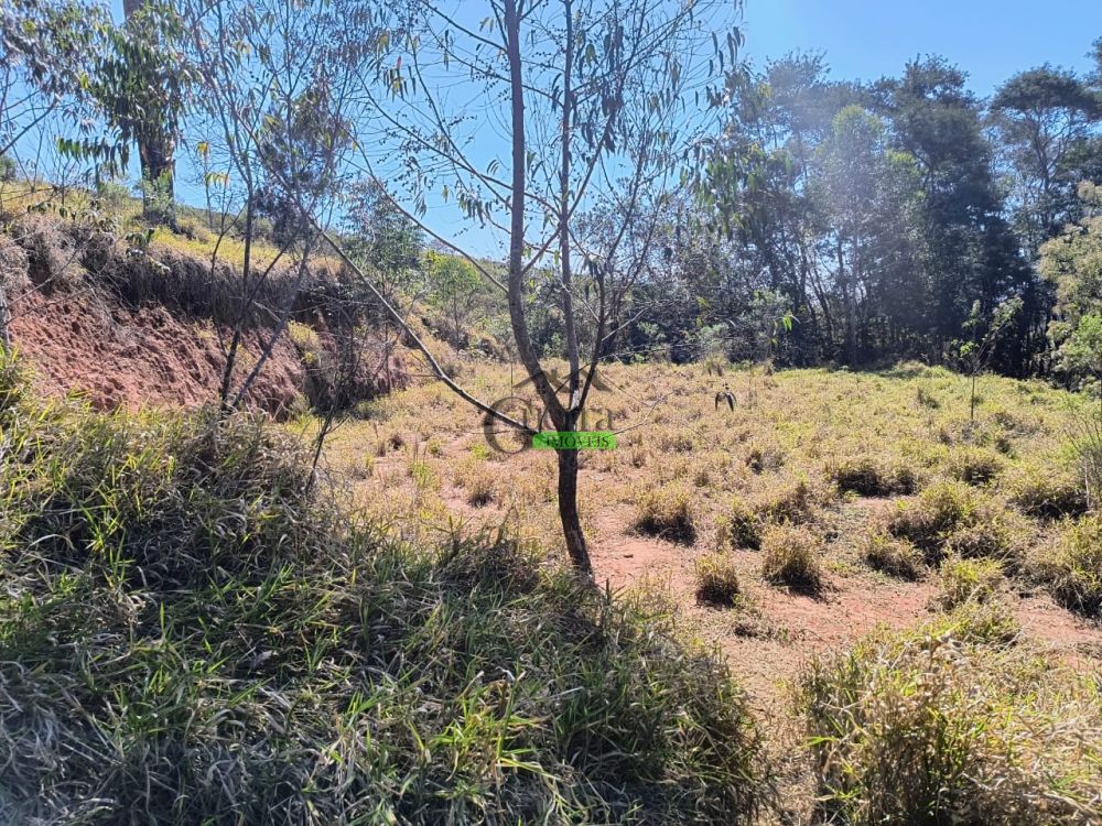 Terreno à venda na Rua Almeida PaesVila dos Pedrosos (Batatuba) - 215300-5.jpg