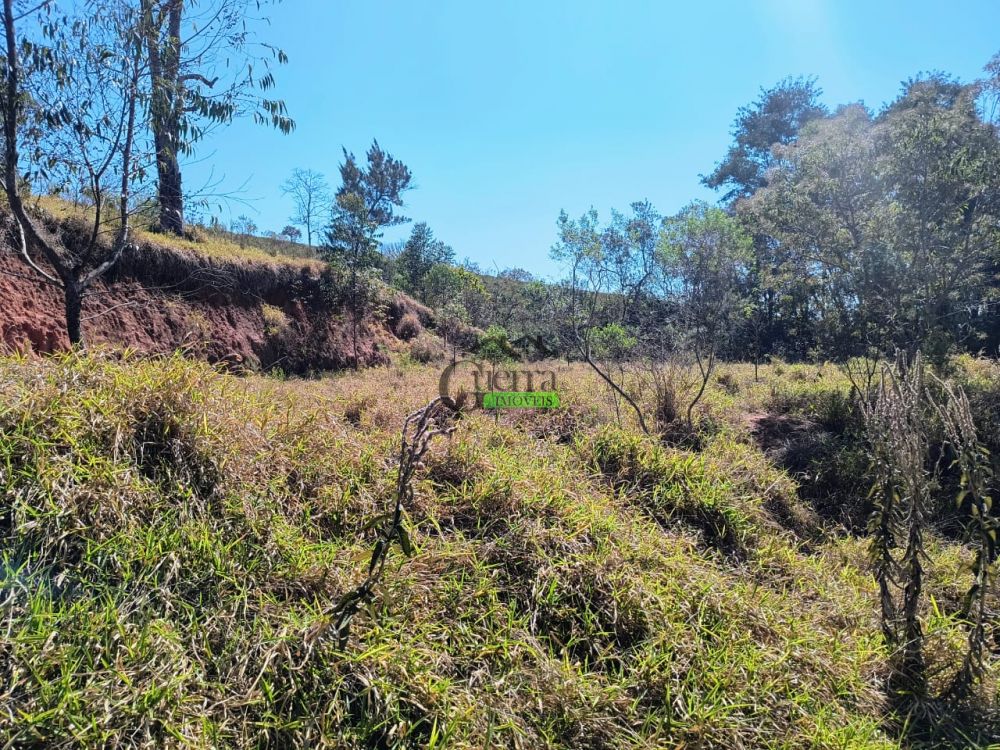 Terreno à venda na Rua Almeida PaesVila dos Pedrosos (Batatuba) - 215300-7.jpg