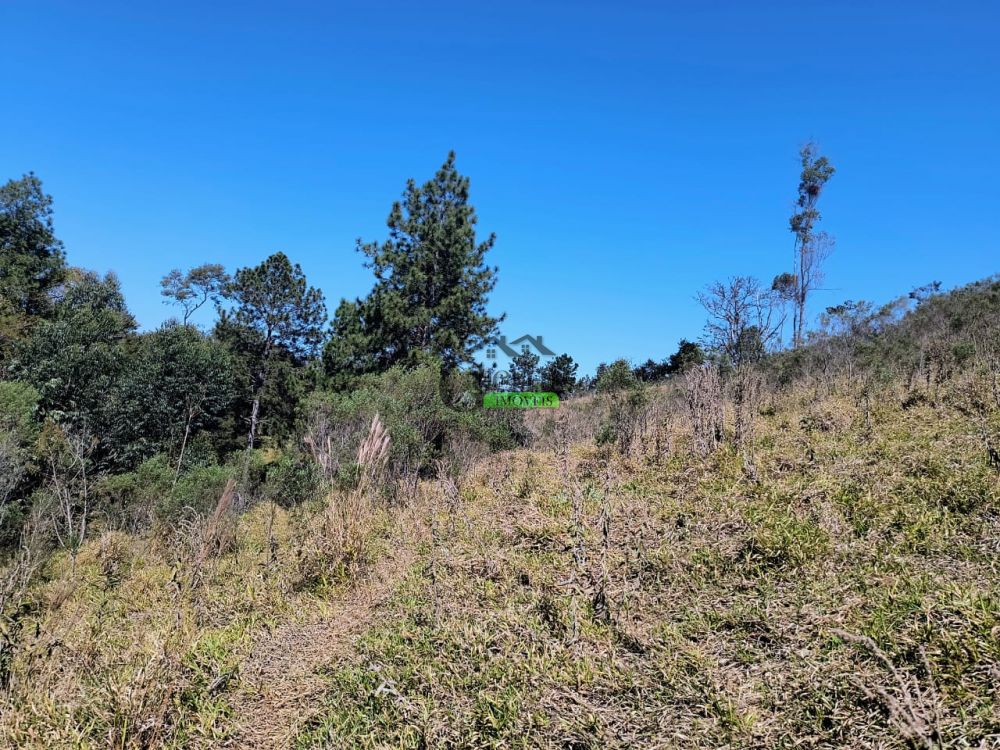 Terreno à venda na Rua Almeida PaesVila dos Pedrosos (Batatuba) - 215301-10.jpg