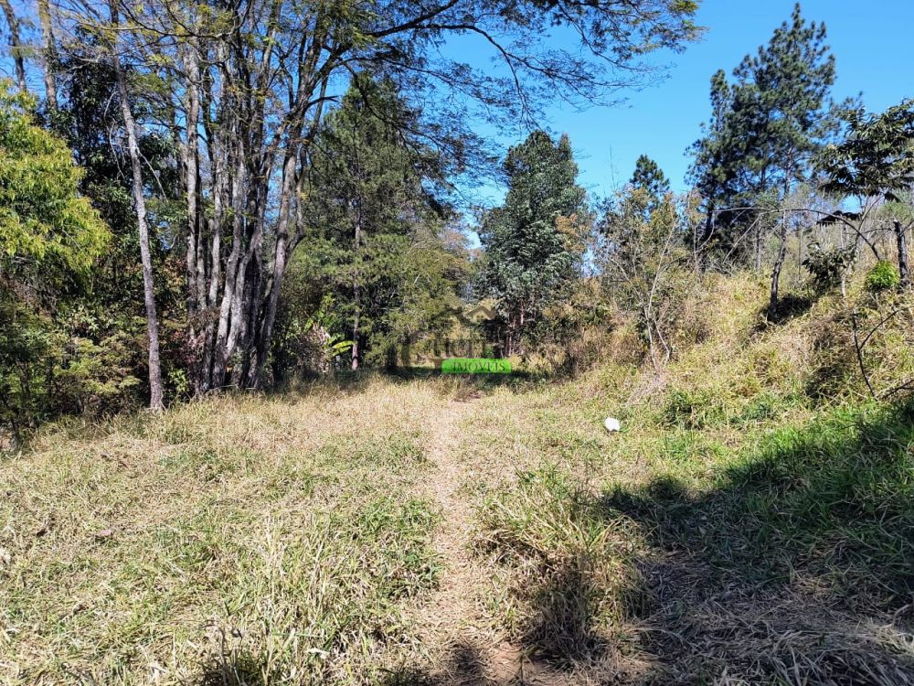 Terreno à venda na Rua Almeida PaesVila dos Pedrosos (Batatuba) - 215301-11.jpg