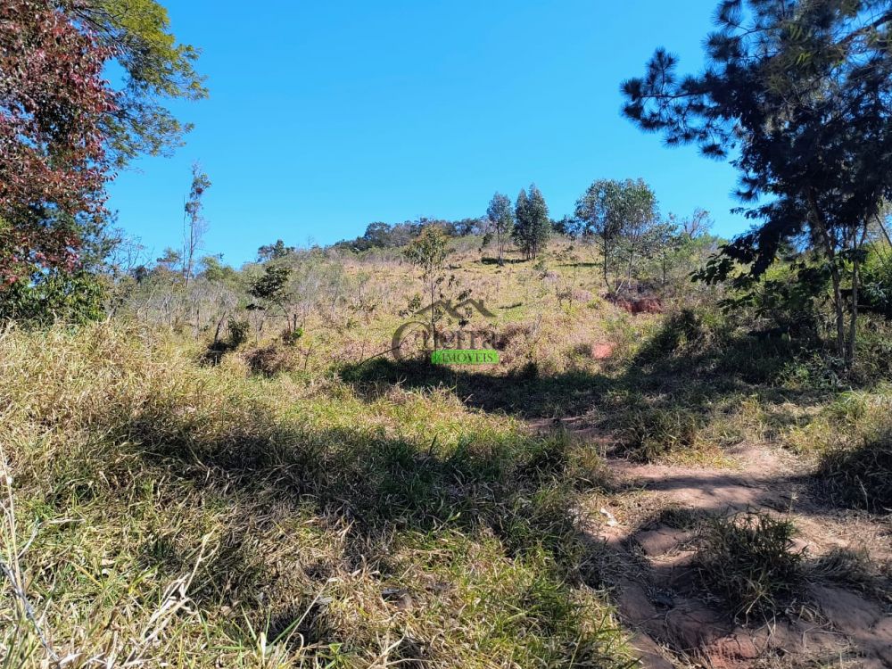 Terreno à venda na Rua Almeida PaesVila dos Pedrosos (Batatuba) - 215301-13.jpg