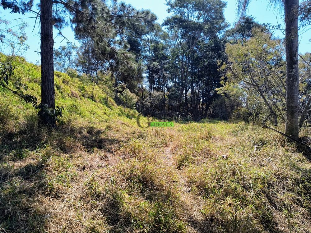 Terreno à venda na Rua Almeida PaesVila dos Pedrosos (Batatuba) - 215301-14.jpg