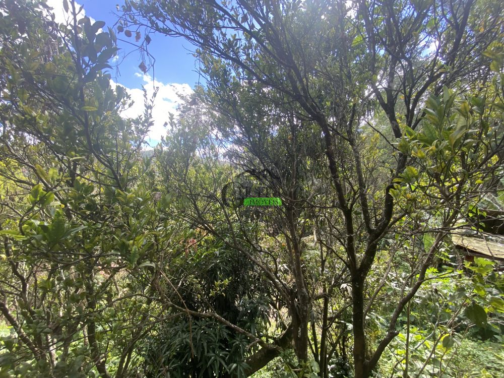 Casa Padrão à venda na Estrada das LavrasRio acima - 123803-23.jpeg
