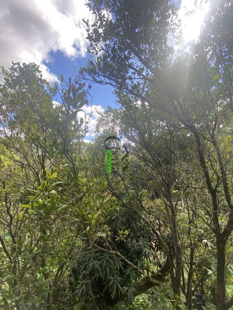 Casa Padrão à venda na Estrada das LavrasRio acima - r123804-24.jpeg