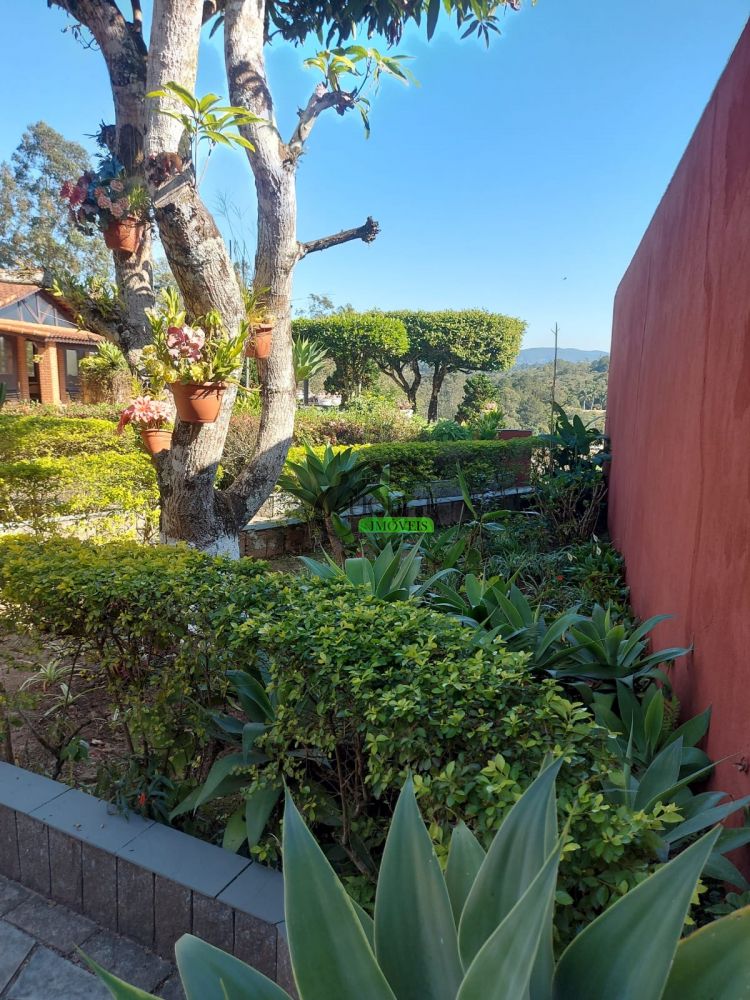 Casa em Condomínio à venda na Alameda dos PinheirosRio abaixo - 220245-51.jpeg